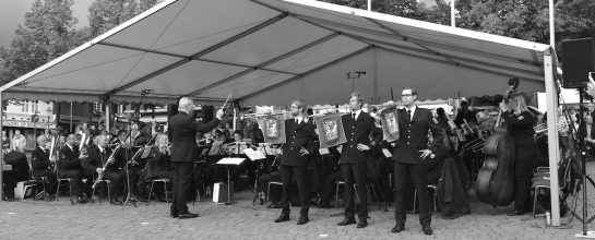 Foto der Marschrevue aus dem Jahr 2015. Mit 3 Fanfaren vor dem Orchester.